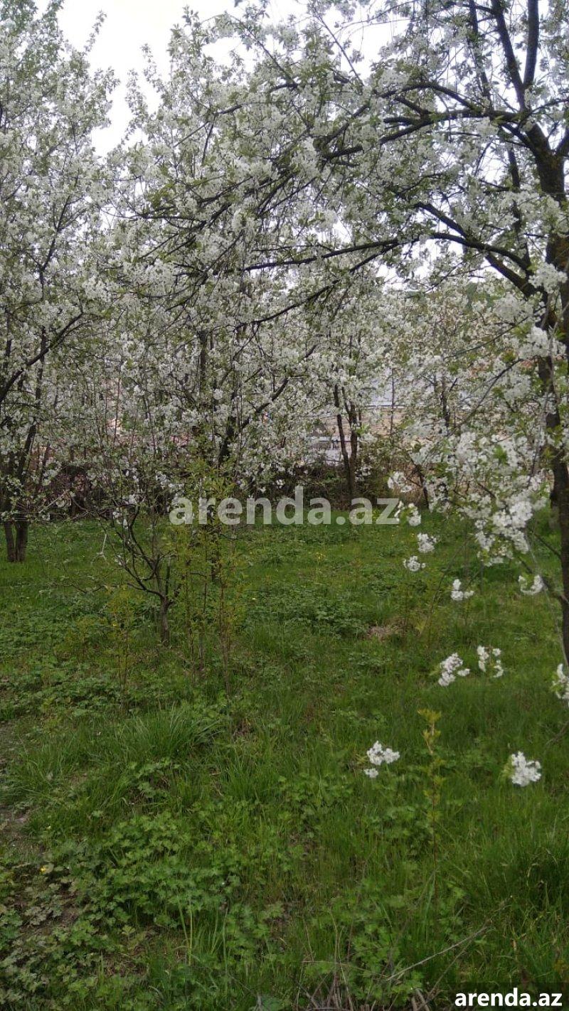 Satılır Torpaq Quba 1 Satılır Torpaq Quba 1