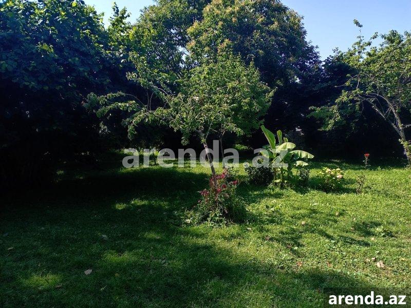 Kirayə (günlük) 3 otaqlı Bağ evi Qəbələ 13