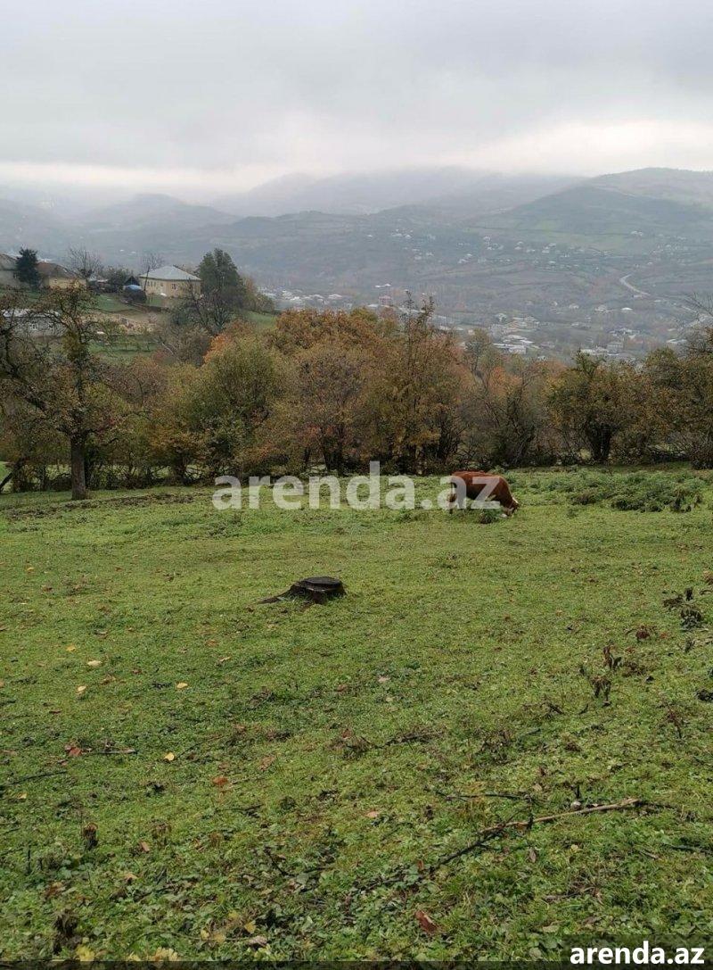 Satılır Torpaq Quba 1 Satılır Torpaq Quba 1