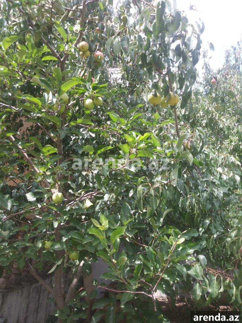 Satılır 5 otaqlı Həyət evi/villa, Hökməli, Abşeron rayonu 25 Satılır 5 otaqlı Həyət evi/villa, Hökməli, Abşeron rayonu 25