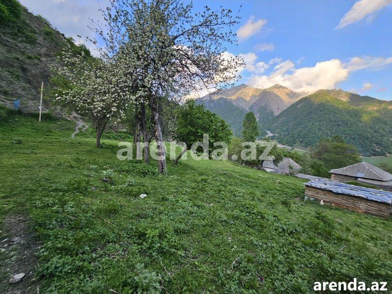 Satılır Torpaq Qəbələ 3 Satılır Torpaq Qəbələ 3