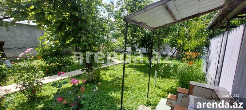 Kirayə (günlük) 3 otaqlı Həyət evi/villa Qəbələ 4
