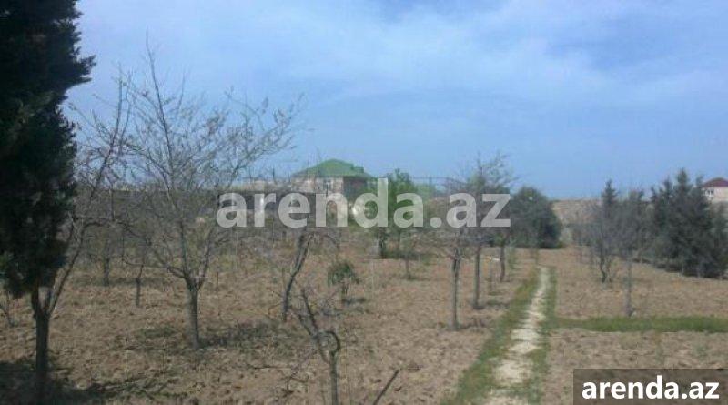 Satılır Torpaq, Maştağa qəs., Sabunçu rayonu 11