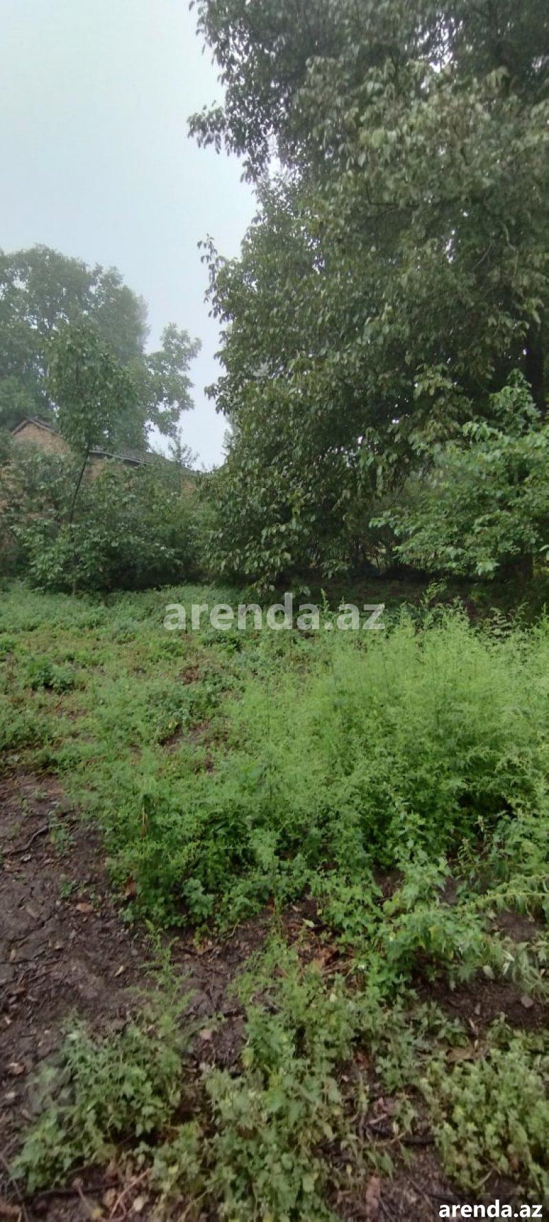 Satılır Torpaq Quba 9 Satılır Torpaq Quba 9