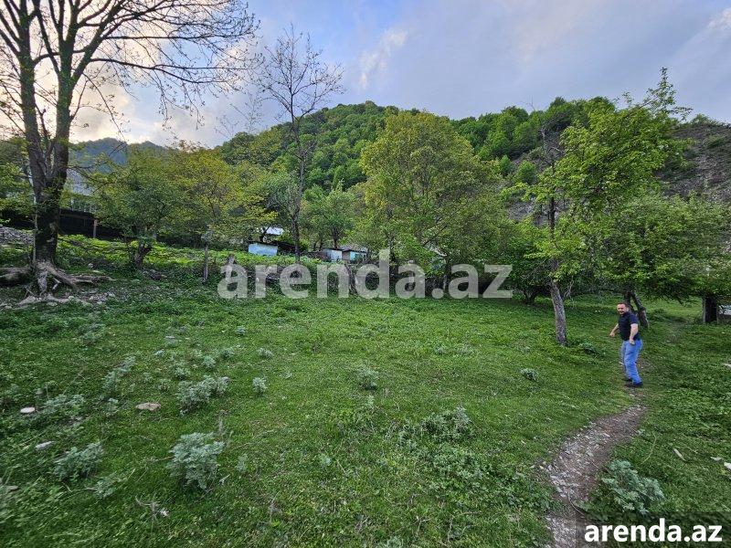 Satılır Torpaq Qəbələ 2 Satılır Torpaq Qəbələ 2