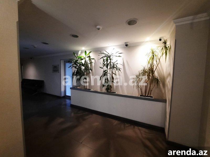 Kirayə (aylıq) 4 otaqlı Ofis, Xətai metrosu, Xətai rayonu 11