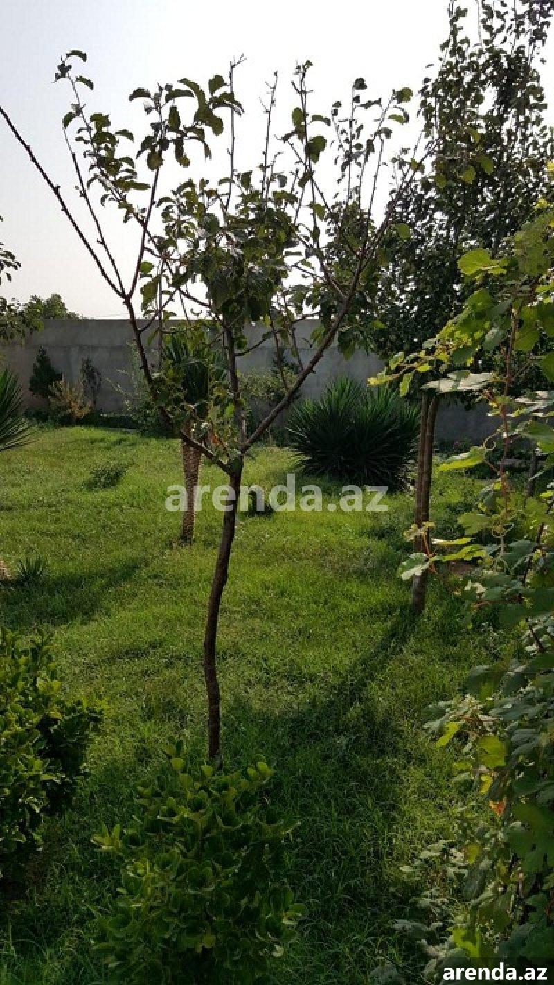 Kirayə (aylıq) 5 otaqlı Bağ evi, Türkan, Xəzər rayonu 3 Kirayə (aylıq) 5 otaqlı Bağ evi, Türkan, Xəzər rayonu 3