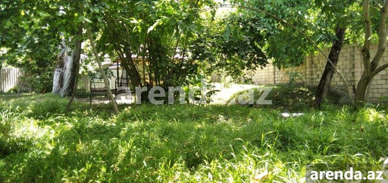 Kirayə (günlük) 3 otaqlı Həyət evi/villa İsmayıllı 19