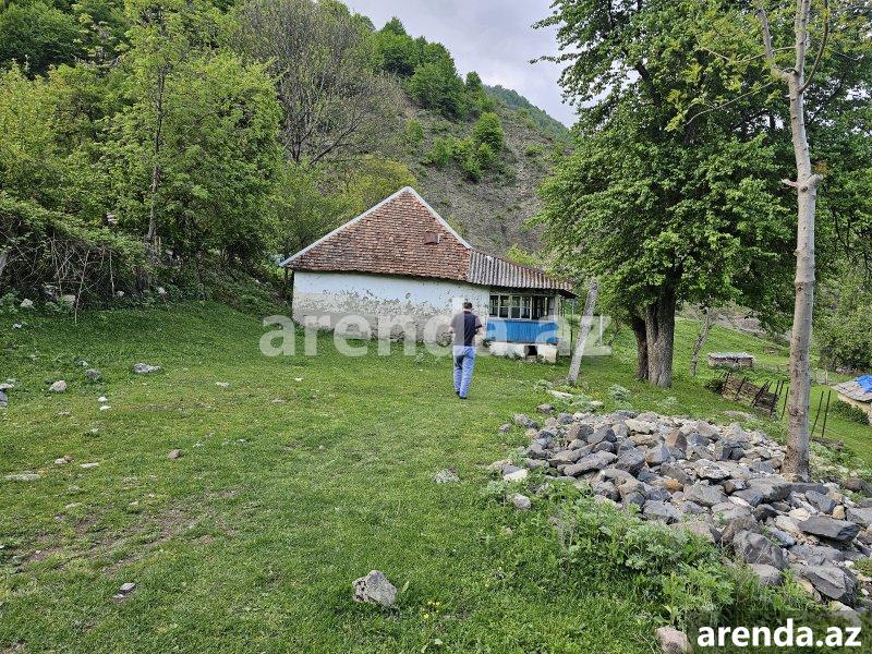 Satılır Torpaq Qəbələ 11 Satılır Torpaq Qəbələ 11