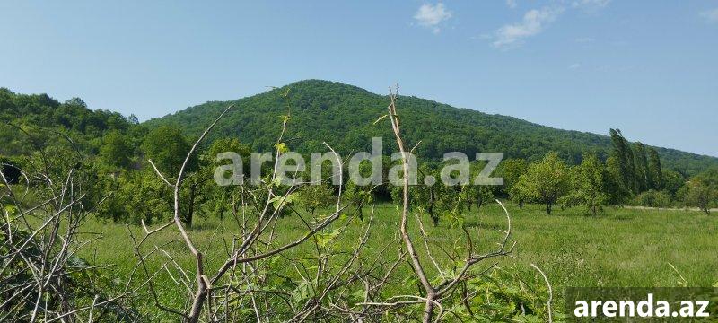 Satılır Torpaq Quba 1 Satılır Torpaq Quba 1