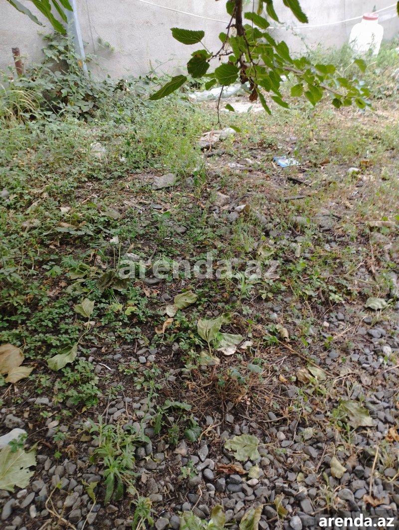 Satılır Torpaq Quba 1 Satılır Torpaq Quba 1