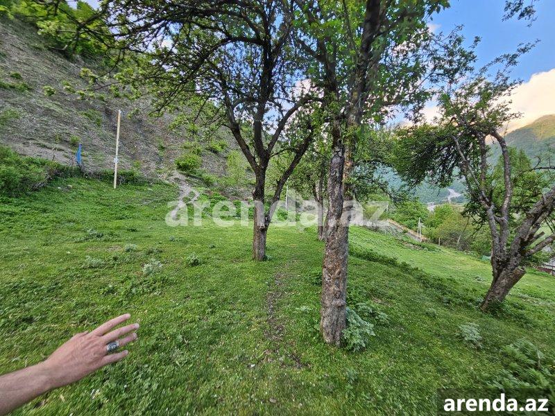 Satılır Torpaq Qəbələ 7 Satılır Torpaq Qəbələ 7