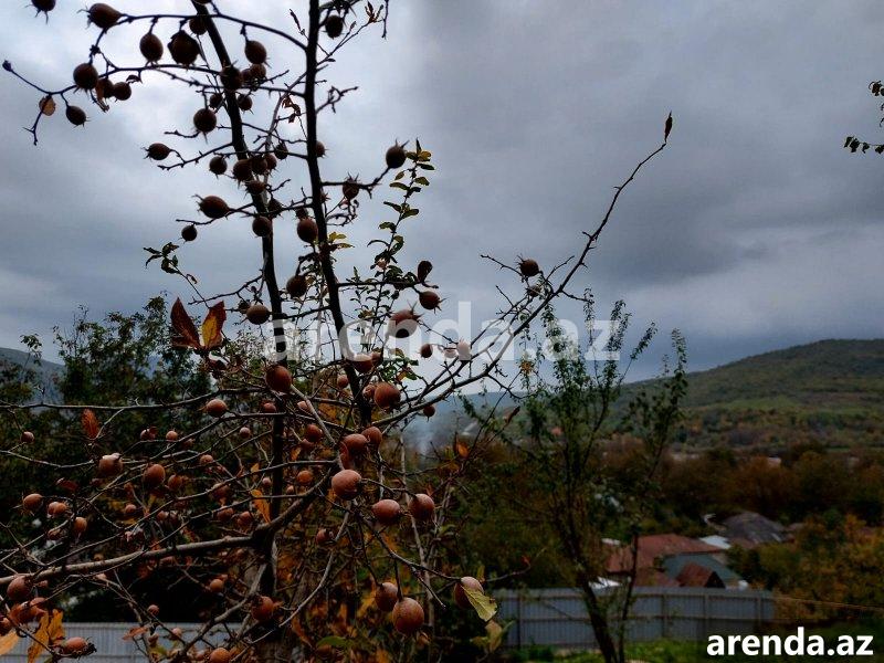 Satılır 2 otaqlı Həyət evi/villa İsmayıllı 10 Satılır 2 otaqlı Həyət evi/villa İsmayıllı 10