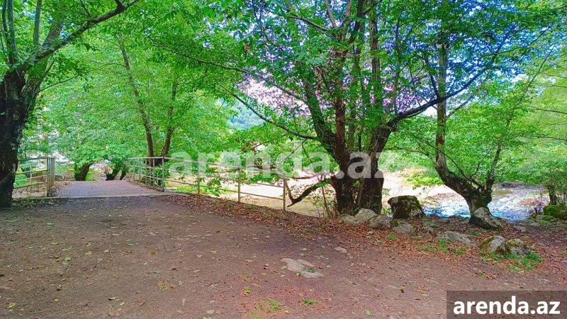 Kirayə (günlük) 3 otaqlı Həyət evi/villa Lerik 9