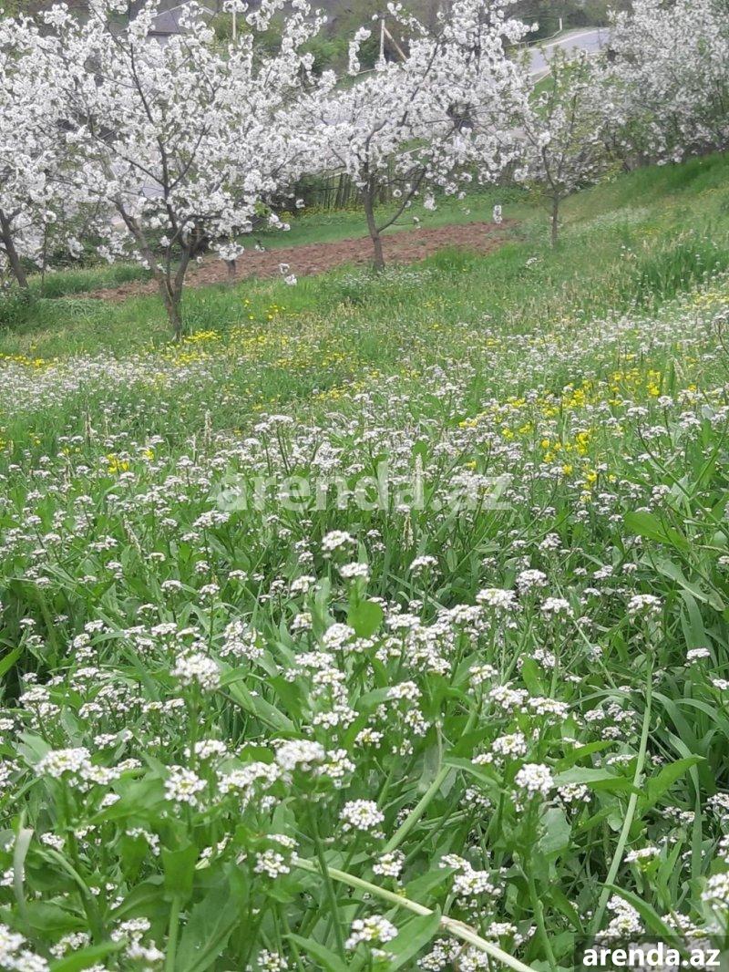 Satılır Torpaq Quba 6 Satılır Torpaq Quba 6