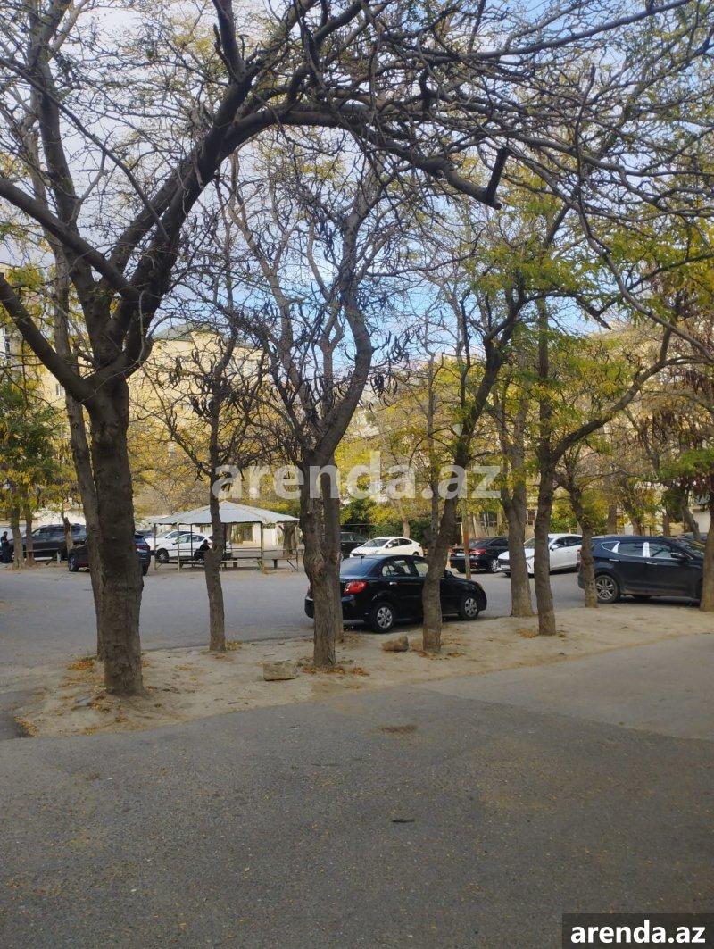 Аренда 3 комнатная Вторичка, м. Эльмляр Академиясы метро, Ясамал район 31 Аренда 3 комнатная Вторичка, м. Эльмляр Академиясы метро, Ясамал район 31