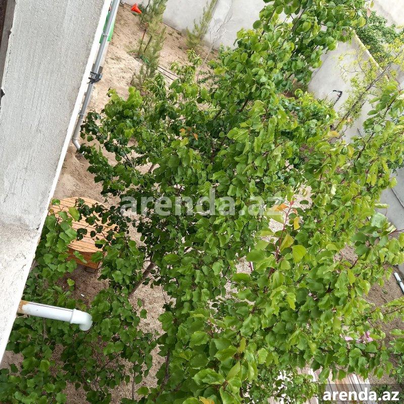 Kirayə (aylıq) 5 otaqlı Bağ evi, Pirşağı qəs., Sabunçu rayonu 25 Kirayə (aylıq) 5 otaqlı Bağ evi, Pirşağı qəs., Sabunçu rayonu 25