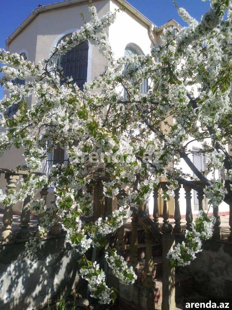 Satılır 4 otaqlı Həyət evi/villa, Hökməli, Abşeron rayonu 3 Satılır 4 otaqlı Həyət evi/villa, Hökməli, Abşeron rayonu 3