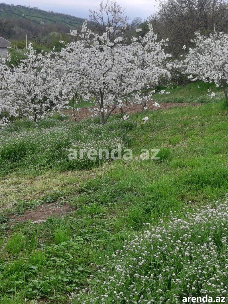 Satılır Torpaq Quba 2 Satılır Torpaq Quba 2