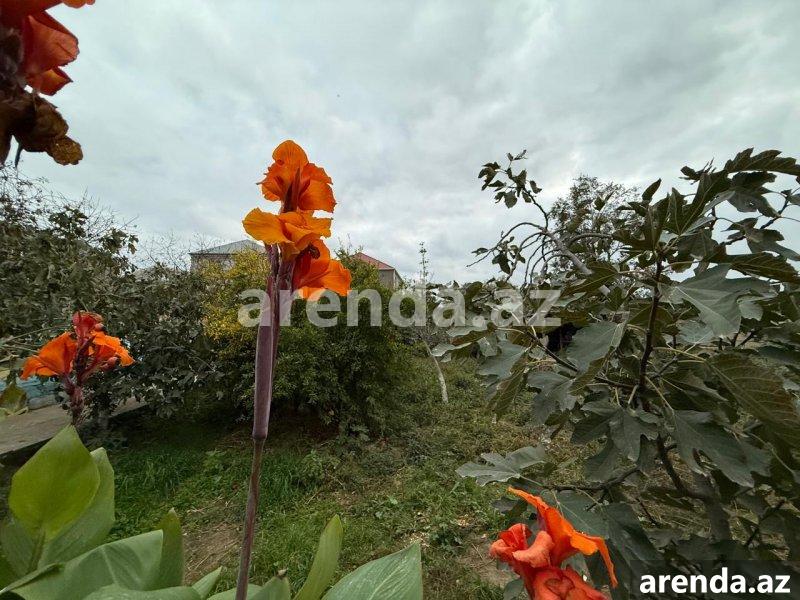 Satılır 4 otaqlı Həyət evi/villa, Məhəmmədli, Abşeron rayonu 3 Satılır 4 otaqlı Həyət evi/villa, Məhəmmədli, Abşeron rayonu 3