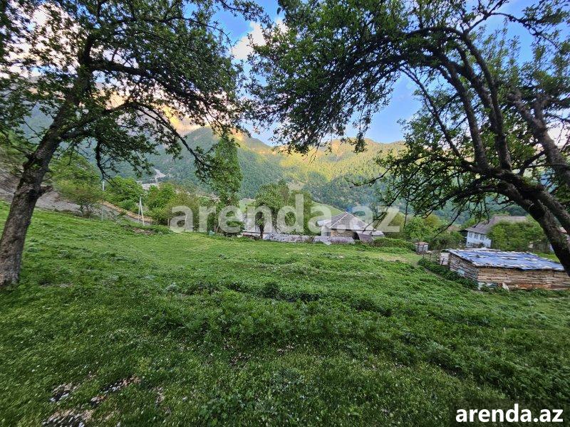 Satılır Torpaq Qəbələ 12 Satılır Torpaq Qəbələ 12