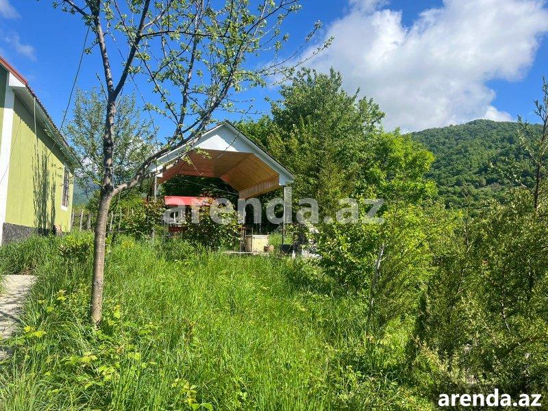 Kirayə (günlük) 3 otaqlı Həyət evi/villa İsmayıllı 6