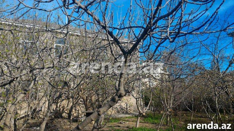 Satılır 6 otaqlı Bağ evi, Mehdiabad, Abşeron rayonu 15