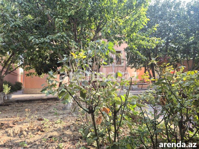 Satılır 5 otaqlı Həyət evi/villa, Saray, Abşeron rayonu 48