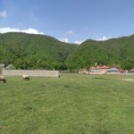 Satılır Torpaq Qəbələ 24