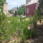 Kirayə (aylıq) 4 otaqlı Bağ evi, Novxanı, Abşeron rayonu 4
