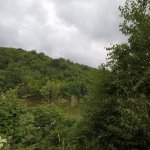 Kirayə (günlük) 3 otaqlı Bağ evi Quba 1