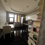 Kirayə (aylıq) 3 otaqlı Yeni Tikili, Nəriman Nərimanov metrosu, Heydər Əliyev Mərkəzi, Nərimanov rayonu 13