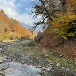 Kirayə (günlük) 4 otaqlı Həyət evi/villa Qəbələ 11