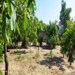 Satılır Torpaq, Saray, Abşeron rayonu 5