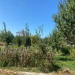 Satılır Torpaq, Buzovna, Xəzər rayonu 3