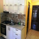 Kirayə (günlük) 3 otaqlı Xarici Əmlak 11