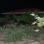 Satılır 4 otaqlı Bağ evi, Koroğlu metrosu, Pirşağı qəs., Sabunçu rayonu 42