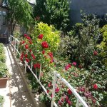 Продажа 4 комнатная Дома/Виллы Хырдалан 6