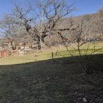 Satılır Torpaq Qəbələ 6