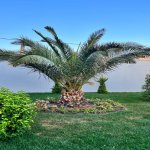 Satılır 5 otaqlı Bağ evi, Mərdəkan, Xəzər rayonu 7