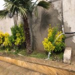 Kirayə (aylıq) 4 otaqlı Həyət evi/villa, Xəzər rayonu 18