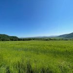 Продажа Участок Гябяля 6