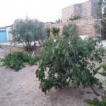 Satılır 4 otaqlı Bağ evi, Pirşağı qəs., Sabunçu rayonu 18