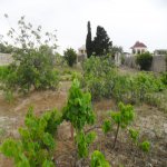 Satılır Torpaq, Kürdəxanı qəs., Sea Breeze, Sabunçu rayonu 8