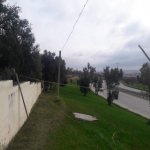 Satılır Torpaq, Zığ qəs., Suraxanı rayonu 17
