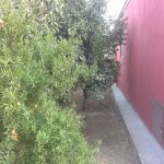 Satılır 4 otaqlı Həyət evi/villa, Mehdiabad, Abşeron rayonu 19