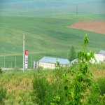 Satılır Torpaq Şamaxı 4