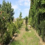 Satılır 4 otaqlı Həyət evi/villa, Savalan qəs., Sabunçu rayonu 6