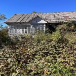 Satılır Torpaq Şamaxı 13