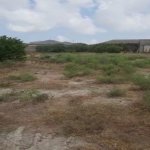 Satılır Torpaq, Novxanı, Abşeron rayonu 1